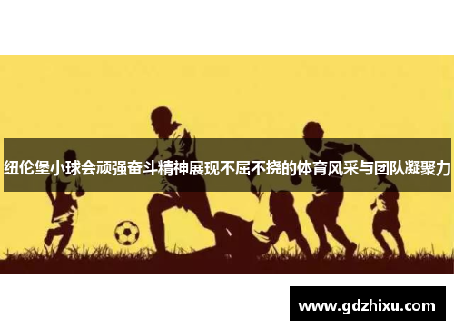 纽伦堡小球会顽强奋斗精神展现不屈不挠的体育风采与团队凝聚力