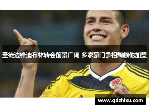 圣徒边锋迪布林转会前景广阔 多家豪门争相觊觎他加盟