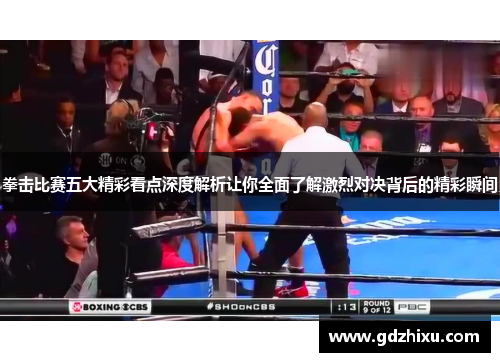 拳击比赛五大精彩看点深度解析让你全面了解激烈对决背后的精彩瞬间