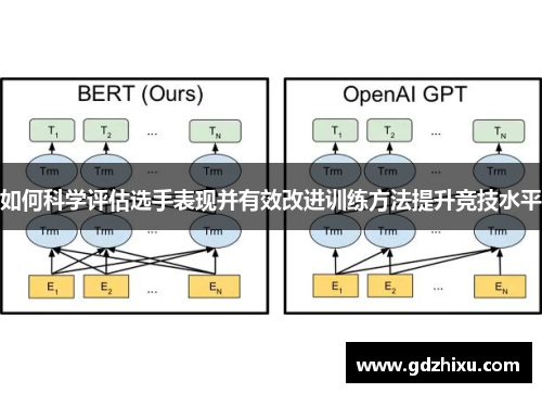 如何科学评估选手表现并有效改进训练方法提升竞技水平