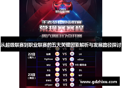 从超级联赛到职业联赛的五大关键因素解析与发展路径探讨